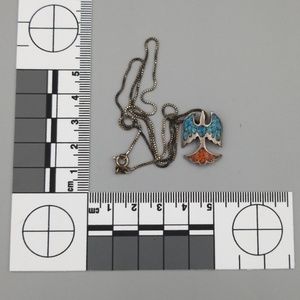 Native American Eagle Pendant w/.925 Silver Chain